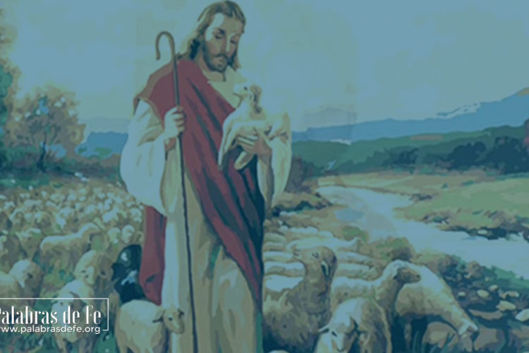 devocional oveja de Dios palabras de fe